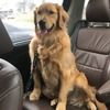 ellie_garst